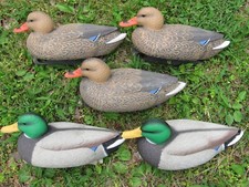 Mallard duck decoy for sale  Farmington