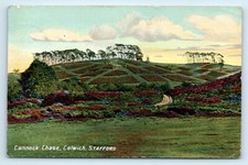 Postcard cannock chase for sale  LLANFAIRFECHAN