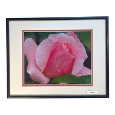 Framed flower photography for sale  Monroe Township