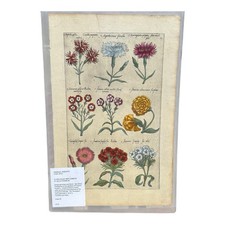 Antique emanuel sweerts for sale  Hendersonville