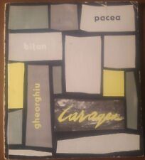 Pittori romeni catalogo usato  Bari