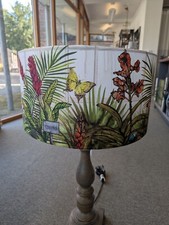 Tropical satin birds for sale  CHESTERFIELD