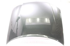Motorhaube pel mega gebraucht kaufen  Wittenburg