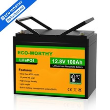 12v 100ah lifepo4 gebraucht kaufen  Aspisheim, Grolsheim