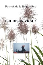 Sucre vrac patrick d'occasion  France