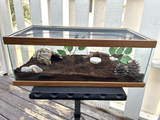 Gallon glass reptile for sale  Las Vegas