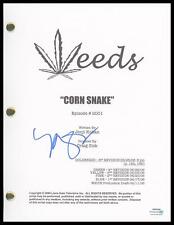 corn snake for sale corn snake for sale Holland