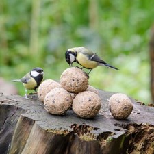 Wildvogel fettbällchen wieder gebraucht kaufen  Versand nach Germany