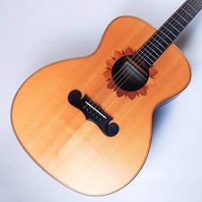 Zemaitis used cag d'occasion  Expédié en France