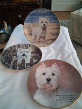 Danbury mint westie for sale  Southampton