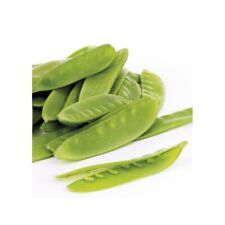 Pois normand mangetout d'occasion  Luzech