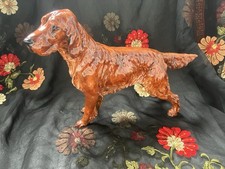 Irish setter royal for sale  PETWORTH