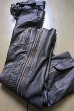 Harley davidson large for sale  Bernardston