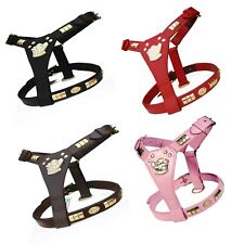 Arnês de couro para cachorros Staffy Staffordshire Bull Terrier encaixe de latão comprar usado  Enviando para Brazil