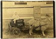 Vtg 1924 dallas for sale  Greenville