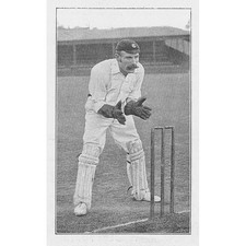 Cricket henry wood for sale  GLASGOW