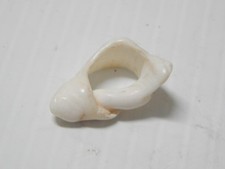 Alaskan eskimo inuit for sale  Fullerton
