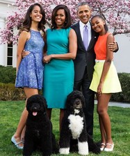 Glossy photo picture for sale  USA
