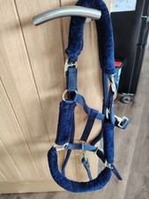Shires arma headcollar for sale  BISHOP AUCKLAND