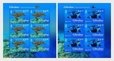 Gibraltar 2024 underwater d'occasion  Lille-