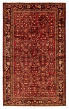 Vintage oriental hand for sale  Champlain