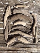 Curved driftwood pieces for sale  NEWARK