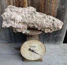 Fulgurite fossil for sale  La Farge