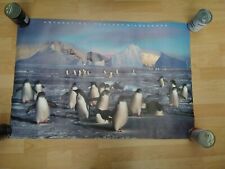 Athena antarctica last for sale  CREWE