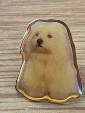 Pin malteser hund gebraucht kaufen  Taunusstein
