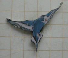 Wellensittich vogel .......... gebraucht kaufen  Münster