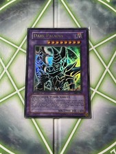 Yugioh dark paladin gebraucht kaufen  Tübingen