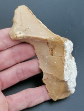 Middle paleolithic neanderthal d'occasion  Castillonnès