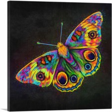 Artcanvas butterfly wings for sale  Niles