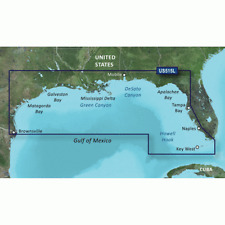 Garmin g3 Vision- Brownsville to Key Largo 2020, usado comprar usado  Enviando para Brazil