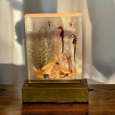 Mcm 1950 lucite for sale  Springfield