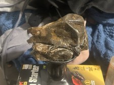 Reptile dinodagget fossil d'occasion  Expédié en Belgium