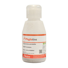 Spider mite predator for sale  UK