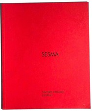 Raymundo sesma iconoclasta usato  Milano
