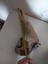 Large piece bogwood for sale  CHESTERFIELD