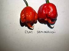Carolina reaper semi usato  Reggio Calabria