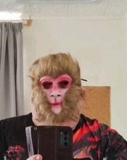 Fancy dress accessory for sale  CROOK