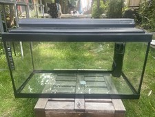 Litre glass fish for sale  BARKING