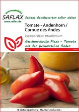 Tomatensamen andenhorn cornue gebraucht kaufen  Keltern
