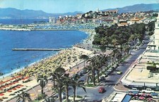 Cannes 40155 d'occasion  Vasles