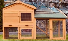 Hasenstall xxl massivholz gebraucht kaufen  Wachenheim a.d. Weinstraße