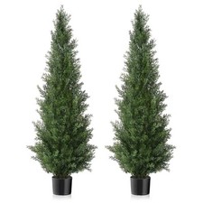 Set pre potted for sale  Yakima