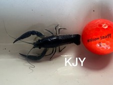 Male electric blue for sale  Crystal River