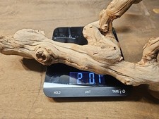 Large aquarium reptile for sale  Cumming