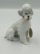 Kaiser poodle white for sale  Fort Lauderdale