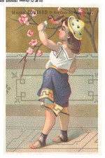 Bfp1 0153 chromos d'occasion  France